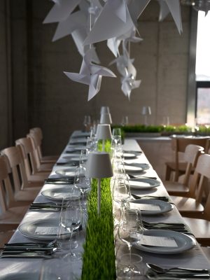 Bilet la MASA LUNGĂ - prânz în 13 decembrie